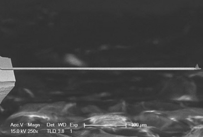 Bruker Contact mode probes for AFM-IR Type B - Unmounted - Systems for Research