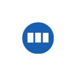 Formvar stabilized with Silicon Monoxide - Systems for Research