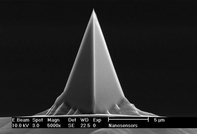 PPP-LM-MFMR - Systems for Research