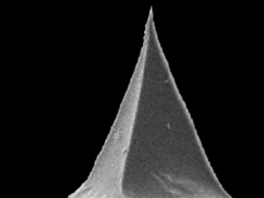 ThermaLeverTM  Probes - nanoTA  -200 - Systems for Research