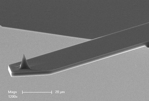 Tapping mode probes for AFM-IR Type D - Unmounted - Systems for Research