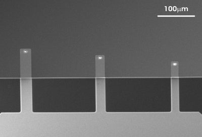 qp-BioAC-CI - Systems for Research