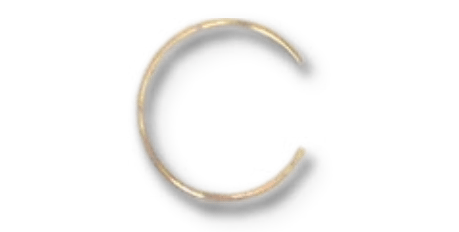 EA C-Clip (100x) - Systems for Research