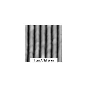 145nm Pitch Calibration Standard for AFM - Systems for Research