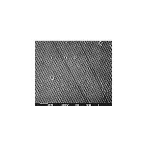 Grating Replica, Waffle - Systems for Research