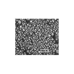 High Resolution Test Specimen, Gold on Carbon 2 - Systems for Research