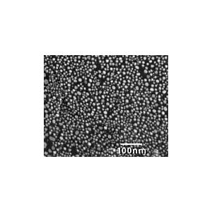 Ultra High Resolution Test Specimen, Gold on Carbon 3 - Systems for Research