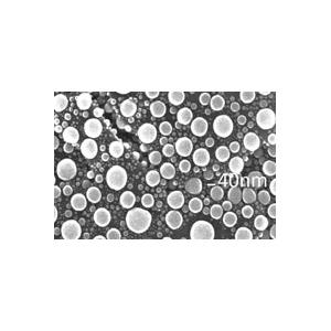 Tin on Carbon Disc, Medium Magnification - Systems for Research