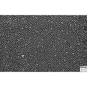 AuSome Single Size 38nm Gold Particles Standard - Systems for Research