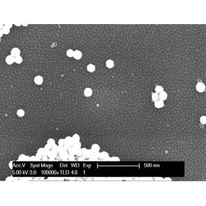 AuSome™ Dual Size Gold Particles Standard - Systems for Research