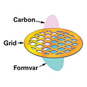 Carbon Type A (15-25nm) with Removable Formvar - Systems for Research