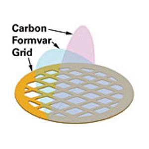 Carbon Type B (15-25nm) with Formvar - Systems for Research