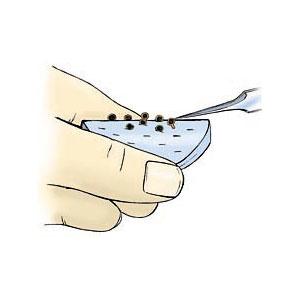 Chien Staining Pad - Systems for Research