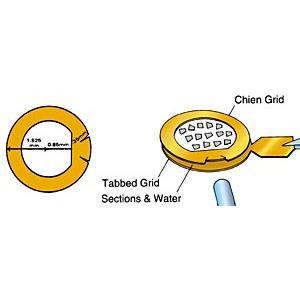 Chien Grids - Systems for Research