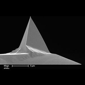 DDRFESP40 - Systems for Research
