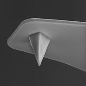 DNP-S - Systems for Research