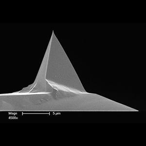 FMV-PT - Systems for Research