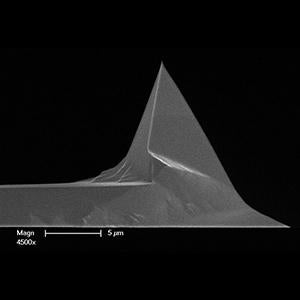 FMV-W - Systems for Research