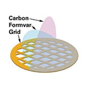 Formvar stabilized with Silicon Monoxide - Systems for Research