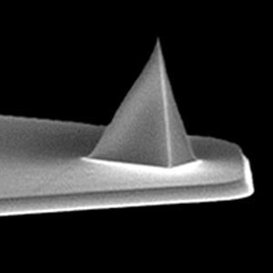 MSNL-W - Systems for Research