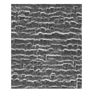 The Silicon Nitride Assortment Pack - Systems for Research