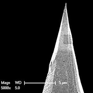 TERS-STM - Systems for Research