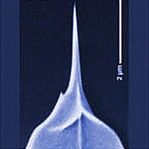 TESPA-HAR - Systems for Research