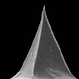 VITA-MM-NANOTA-200 - Systems for Research